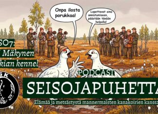 Maltilla huippukoiraksi – Seisojapuhetta-podcastissa vieraana Antti Mäkynen